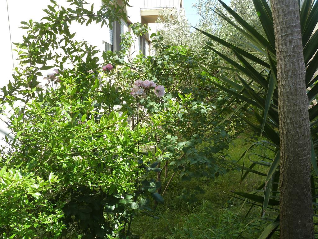 Apartment Marina Zadar Exterior foto